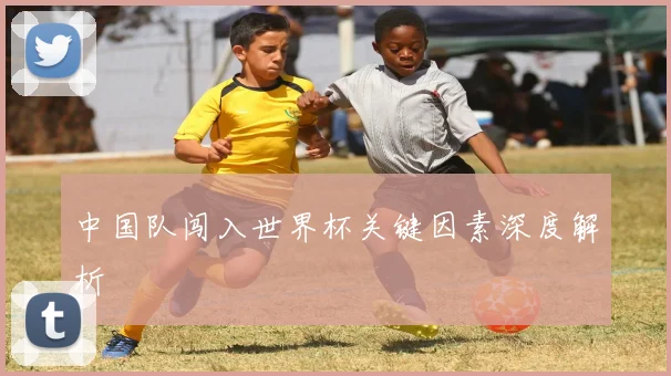 中国队闯入世界杯关键因素深度解析