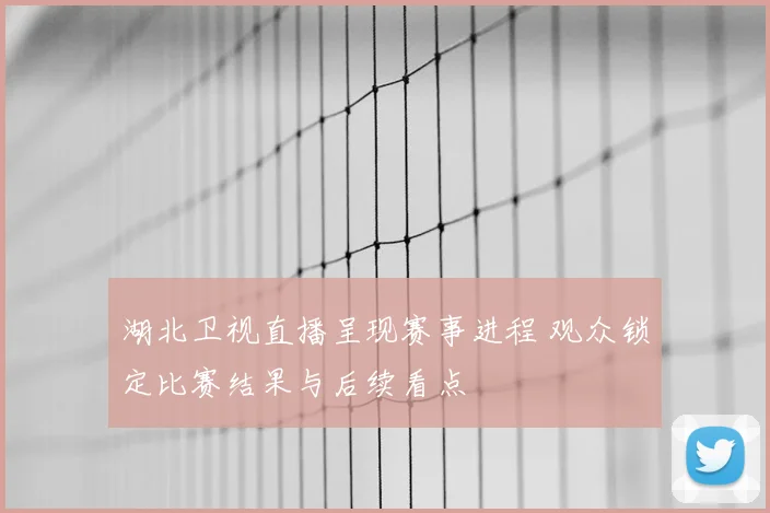 湖北卫视直播呈现赛事进程 观众锁定比赛结果与后续看点